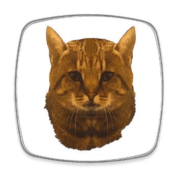 getigerte Katze, gesicht, Besitzer, für jedermann - Viereckiger Kühlschrankmagnet - Weiß - Vorne