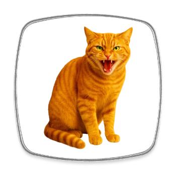 Hissing orange tabby cat - Square fridge magnet - white - Front