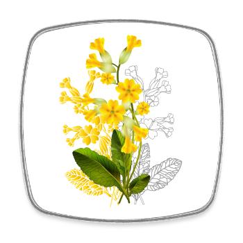 Cowslip Illustration–Partially Colored Design - Square fridge magnet - white - Front