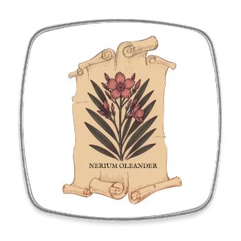 Nerium Oleander – Tödliche Eleganz - Viereckiger Kühlschrankmagnet - Weiß - Vorne