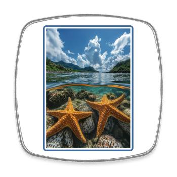 Étoile de mer Étoile de mer - Magnet carré - blanc - Devant