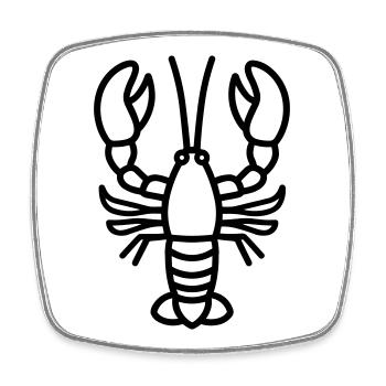 Lobster - Square fridge magnet - white - Front