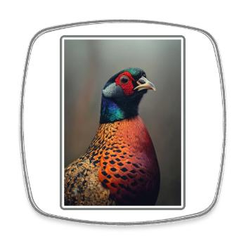 Pheasants Pheasant - Square fridge magnet - white - Front