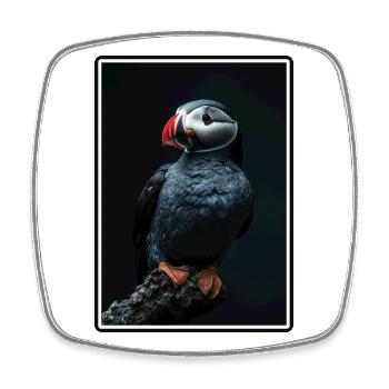 Puffin Papageientaucher - Viereckiger Kühlschrankmagnet - Weiß - Vorne