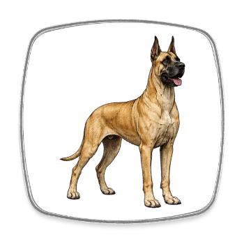 Illustration vintage de Dogue Grand – Élégance & Puissance - Magnet carré - blanc - Devant