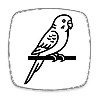 Wellensittich Vogel Sittich Haustier - Viereckiger Kühlschrankmagnet - Weiß - Vorne