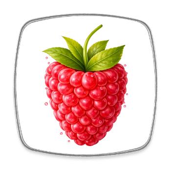 Fresh raspberry with leaves - Square fridge magnet - white - Front
