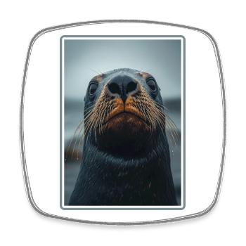 Sea Lions Sea Lion - Square fridge magnet - white - Front