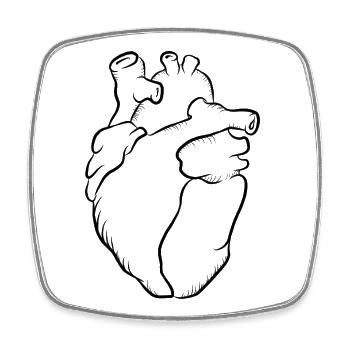 Anatomischer Herzlinien-Print - Viereckiger Kühlschrankmagnet - Weiß - Vorne
