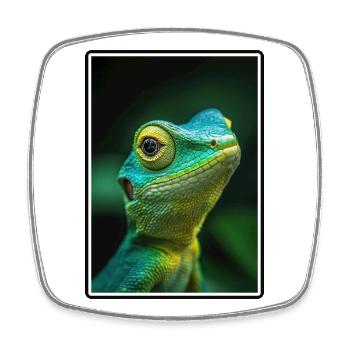 Lézard des lézards - Magnet carré - blanc - Devant