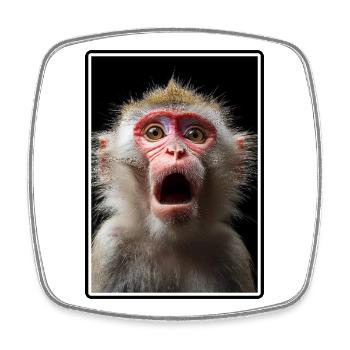 Macaque Macaque - Square fridge magnet - white - Front