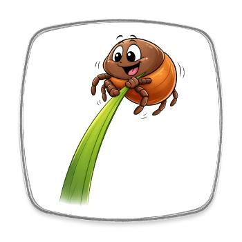 Funny Tick on Blade of Grass - Square fridge magnet - white - Front