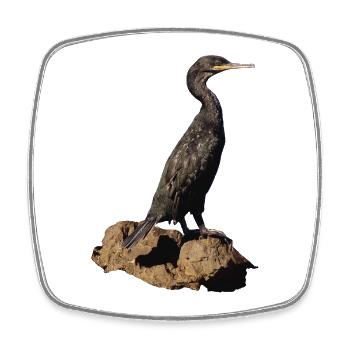 Cormorant - Square fridge magnet - white - Front