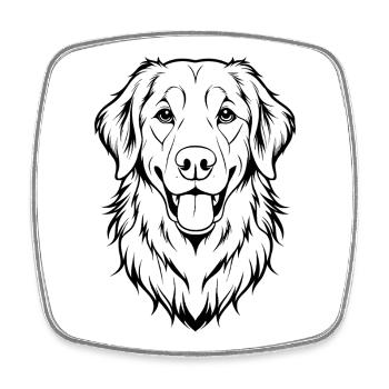 Tête de Golden Retriever - Magnet carré - blanc - Devant