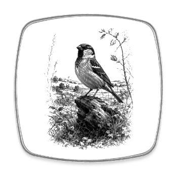 Cute sparrow artfully drawn on tree trunk - Square fridge magnet - white - Front