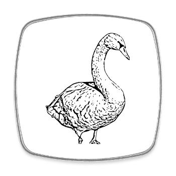 Schwan schwarz Ente Vogel Gans - Viereckiger Kühlschrankmagnet - Weiß - Vorne
