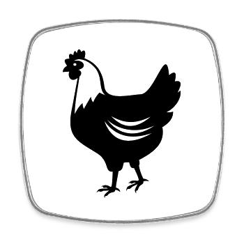 Huhn - Henne - Viereckiger Kühlschrankmagnet - Weiß - Vorne