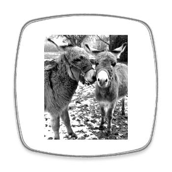Two donkeys - Square fridge magnet - white - Front