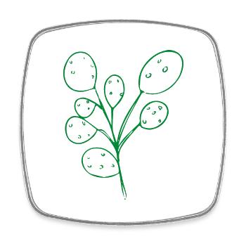 Florist Blume Pflanze Natur Gärtner - Viereckiger Kühlschrankmagnet - Weiß - Vorne