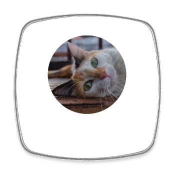 le chat au doux regard - Magnet carré - blanc - Devant