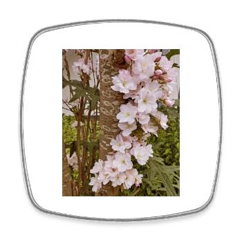 Zarte Kirschblüten auf Baumstamm - Viereckiger Kühlschrankmagnet - Weiß - Vorne