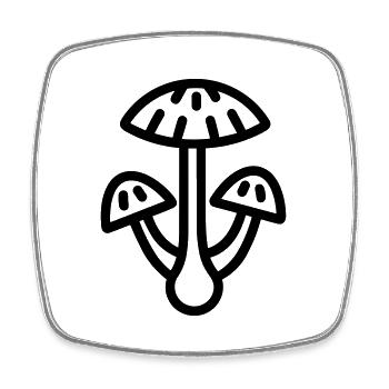 Mushroom - Square fridge magnet - white - Front