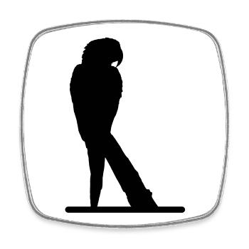Parrot - Square fridge magnet - white - Front