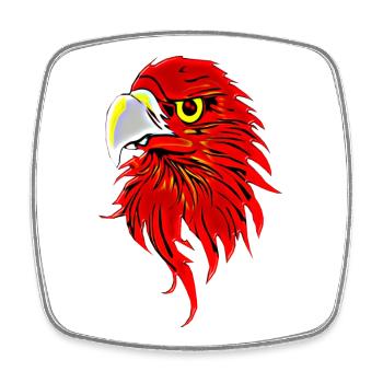 Oiseau de proie - Magnet carré - blanc - Devant