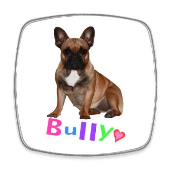 Französische Bulldogge Finn - Viereckiger Kühlschrankmagnet - Weiß - Vorne