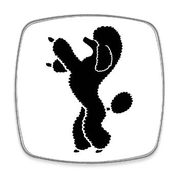 Caniche caniche - Magnet carré - blanc - Devant