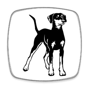 Deutscher Pinscher - Viereckiger Kühlschrankmagnet - Weiß - Vorne