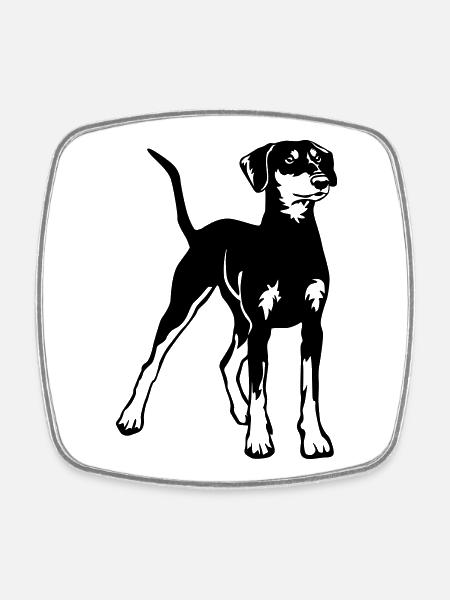 German Pinscher - Square fridge magnet - white