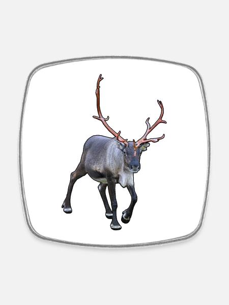 Reindeer - Square fridge magnet - white
