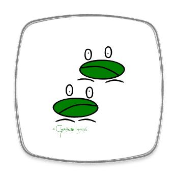 Froschpärchen © Chyropterum Innoxius - Viereckiger Kühlschrankmagnet - Weiß - Vorne