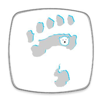 Eisbär 8 - Viereckiger Kühlschrankmagnet - Weiß - Vorne