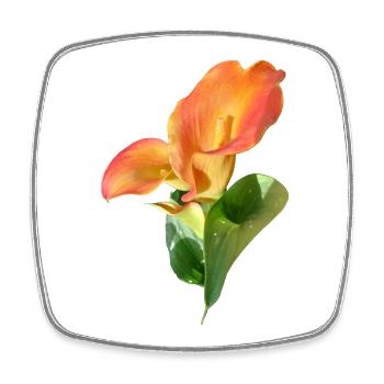 Orange Calla Blossom Magic - Square fridge magnet - white - Front