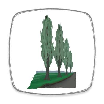 Avenue Poplar | Peuplier - Magnet carré - blanc - Devant