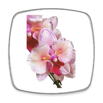 Phalaenopsis Swan Blush Peloric Orchid Blossom - Square fridge magnet - white - Front