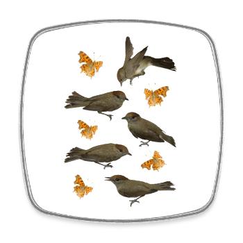 Blackcap with C-butterfly - Square fridge magnet - white - Front