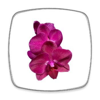 Phalaenopsis Hybrid Pink Purple Orchid Blossom - Square fridge magnet - white - Front