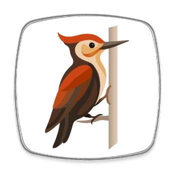 Specht an Baumstamm – Stilisiertes Vogelmotiv - Viereckiger Kühlschrankmagnet - Weiß - Vorne