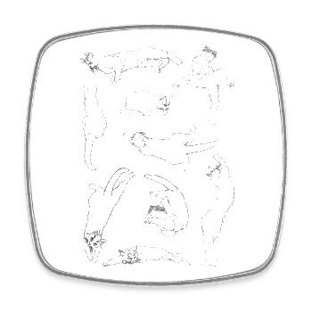 Anatomie der Katze - Viereckiger Kühlschrankmagnet - Weiß - Vorne