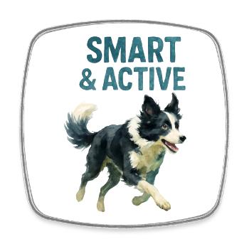 Border Collie Hund - Viereckiger Kühlschrankmagnet - Weiß - Vorne