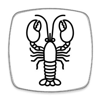 Lobster - Square fridge magnet - white - Front