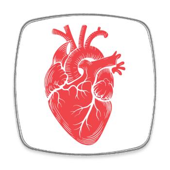 Anatomical Heart Motif Red - Square fridge magnet - white - Front