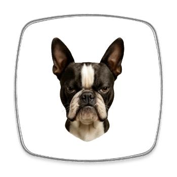 Boston Terrier Kopf Porträt - Viereckiger Kühlschrankmagnet - Weiß - Vorne