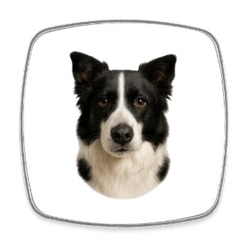 Portrait de tête de Border Collie - Magnet carré - blanc - Devant