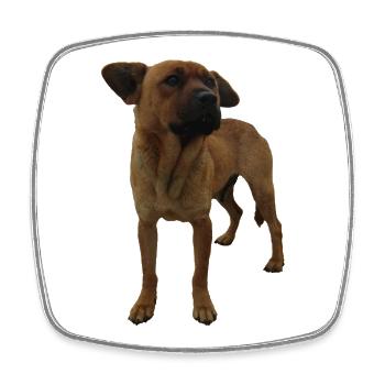 Hund - Viereckiger Kühlschrankmagnet - Weiß - Vorne