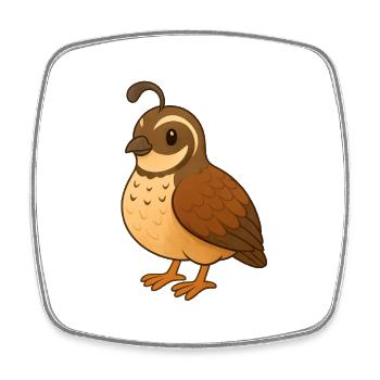 Quail - Square fridge magnet - white - Front