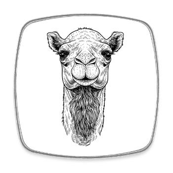Camel - Square fridge magnet - white - Front